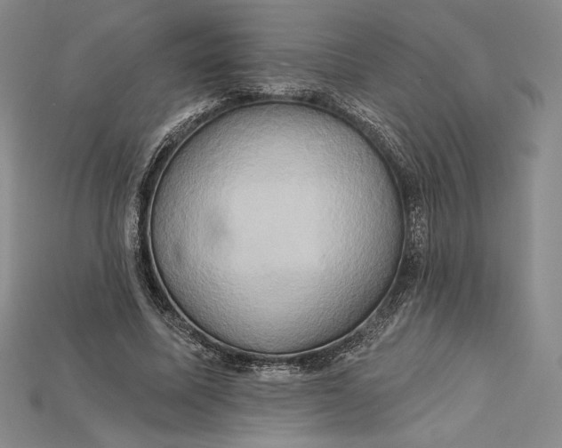 X0000115170587200911121741