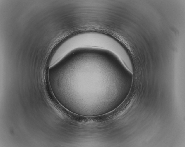 X0000115170589200911121741