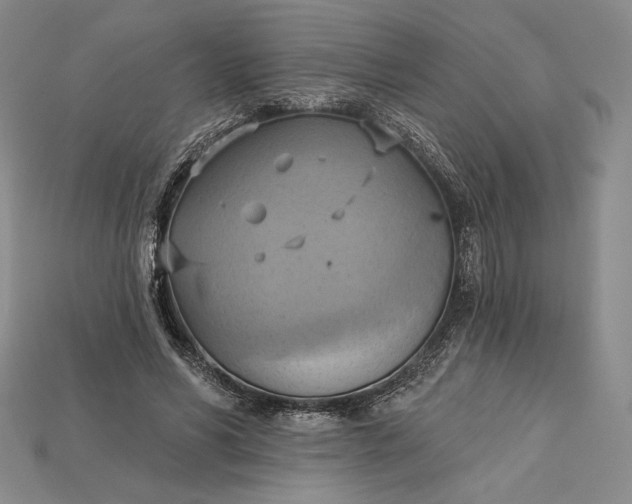 X0000115170590200911121741