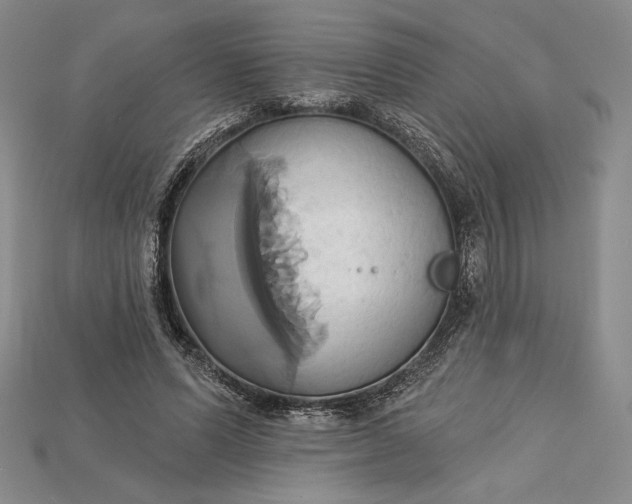 X0000115170591200911121741