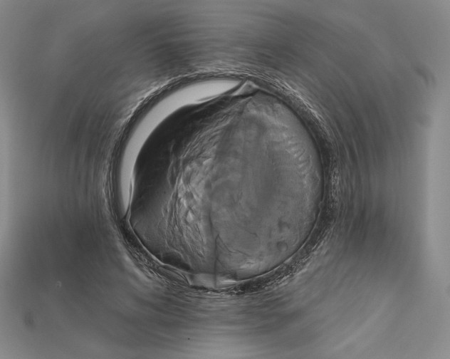 X0000115170592200911121741