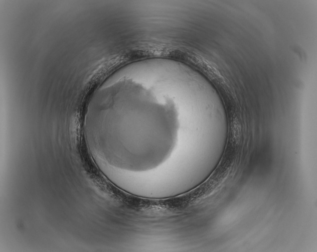 X0000115170594200911121741