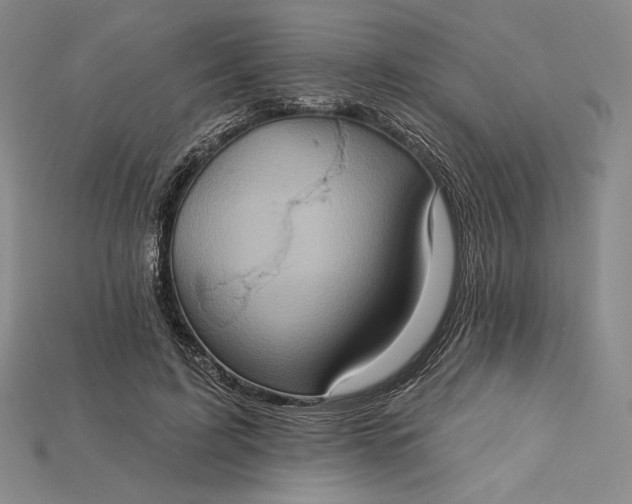 X0000115170595200911121741