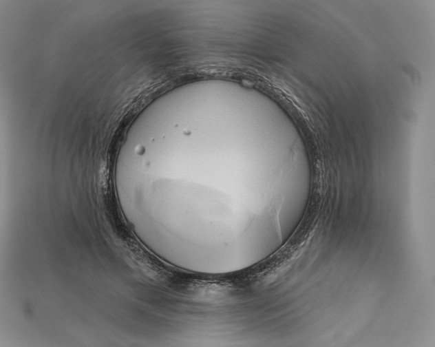 X0000115170597200911121741