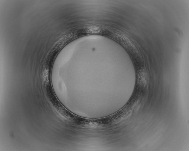 X0000115170598200911121741