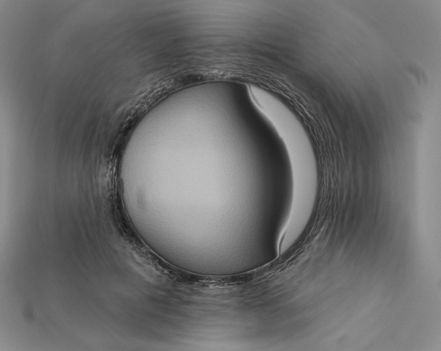 X0000115170601200911121741