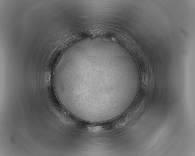 X0000115170602200911121741