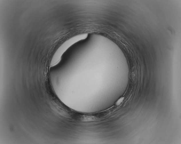 X0000115170605200911121741