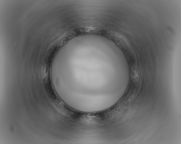 X0000115170607200911121741