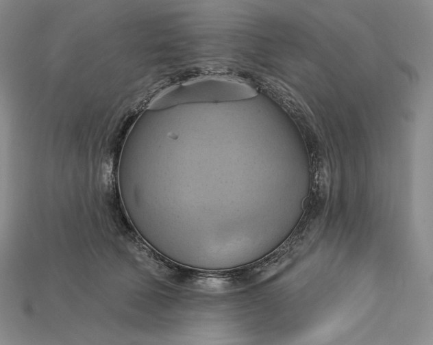 X0000115170610200911121741
