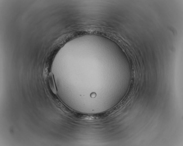 X0000115170611200911121741