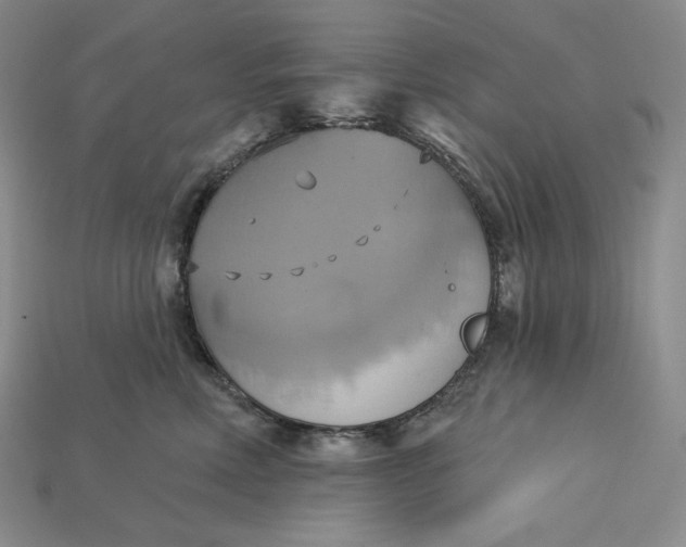 X0000115170618200911121741