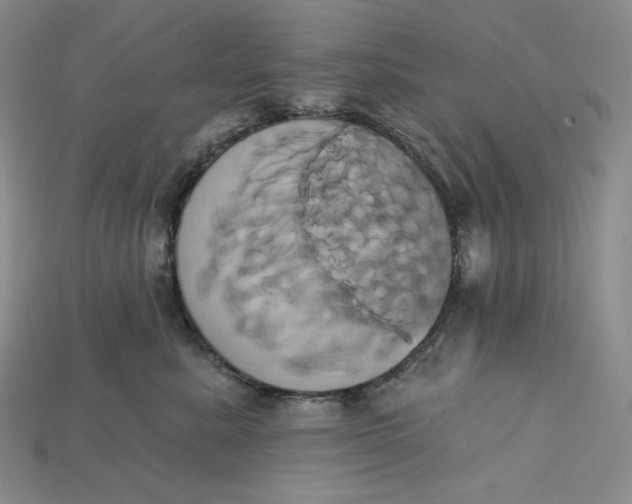 X0000115170619200911121741