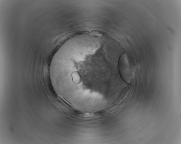 X0000115170623200911121741
