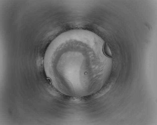 X0000115170624200911121741