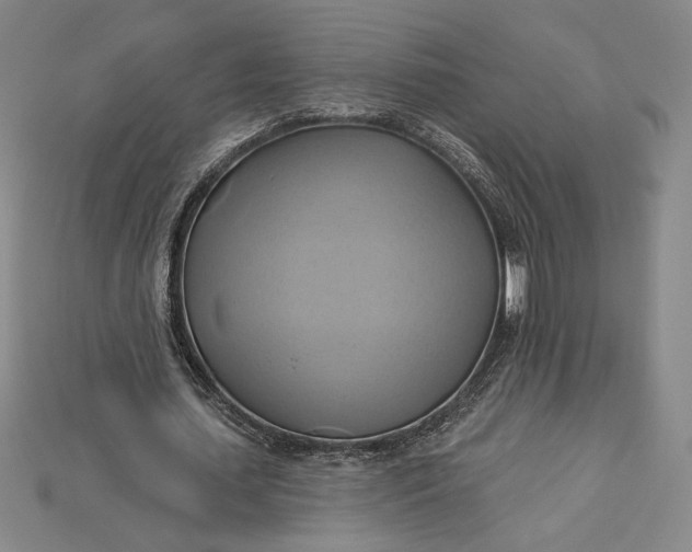 X0000115170627200911121740