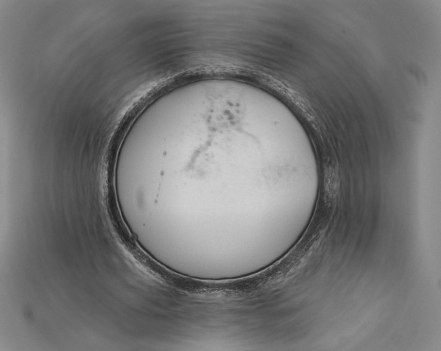 X0000115170629200911121740