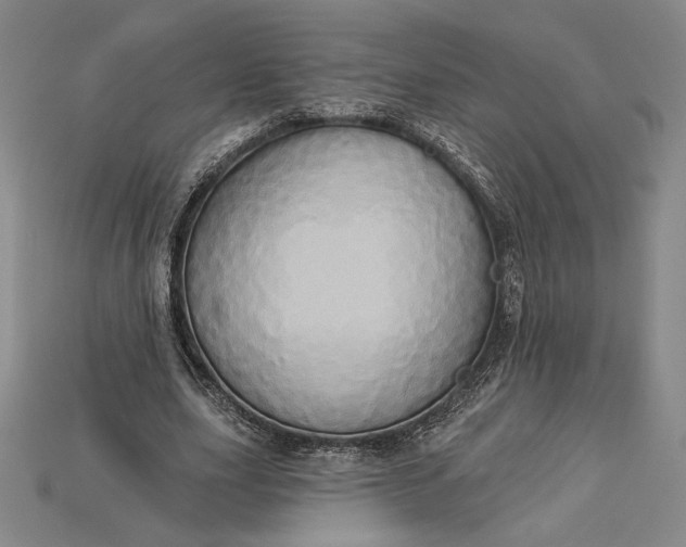 X0000115170631200911121740