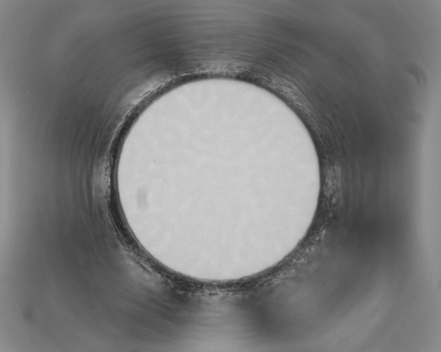 X0000115170632200911121740