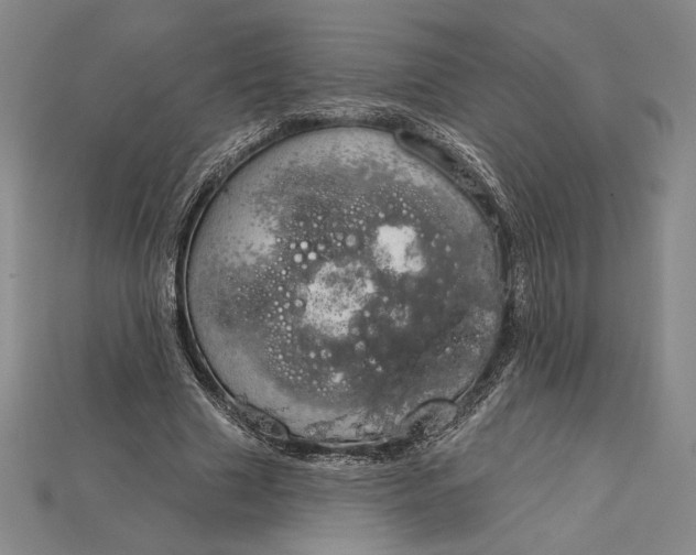 X0000115170633200911121740