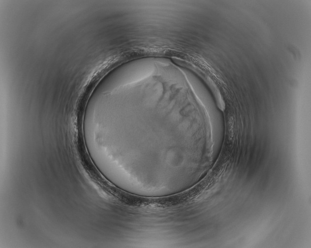 X0000115170634200911121740
