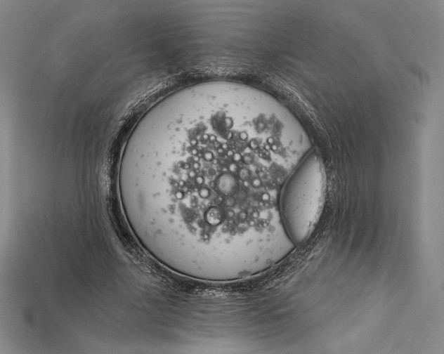 X0000115170635200911121740