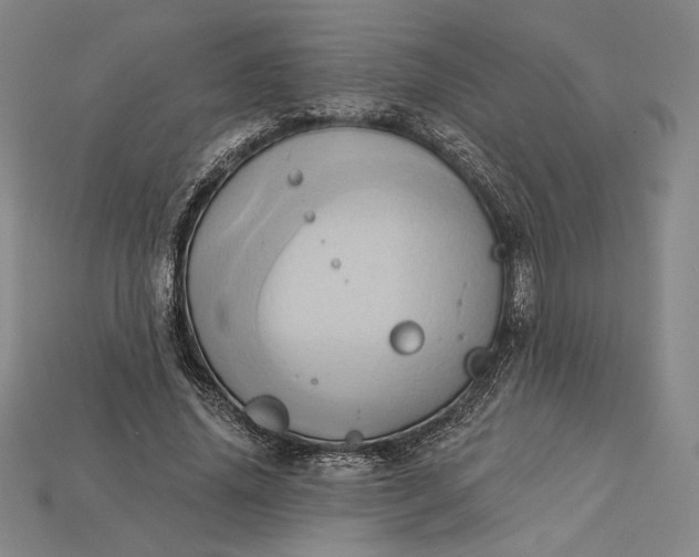 X0000115170636200911121740