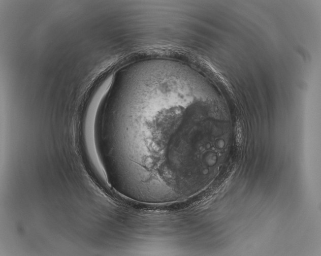 X0000115170637200911121740