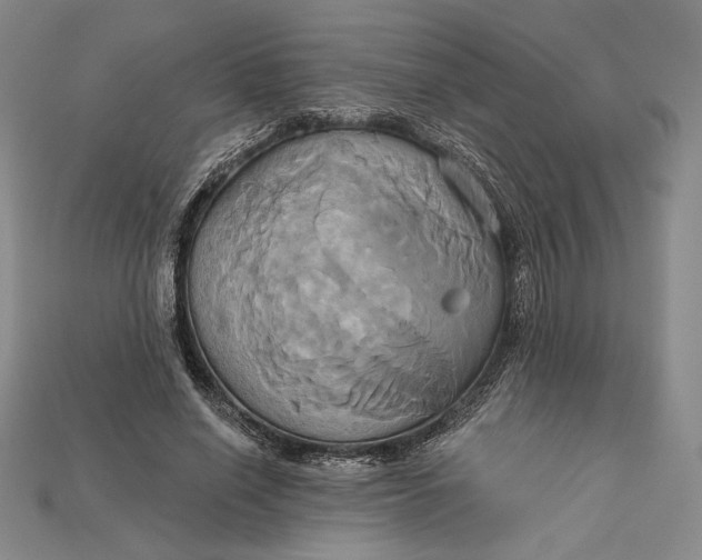 X0000115170638200911121740