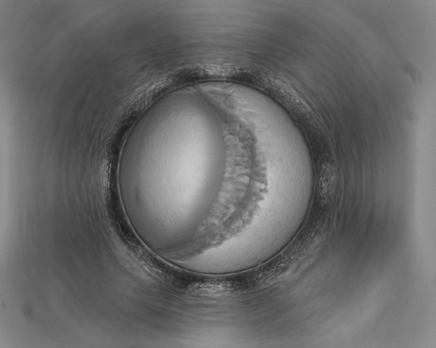 X0000115170639200911121740