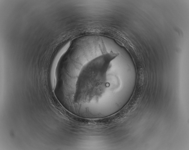 X0000115170641200911121740