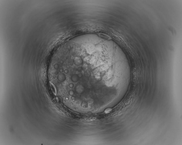 X0000115170642200911121740