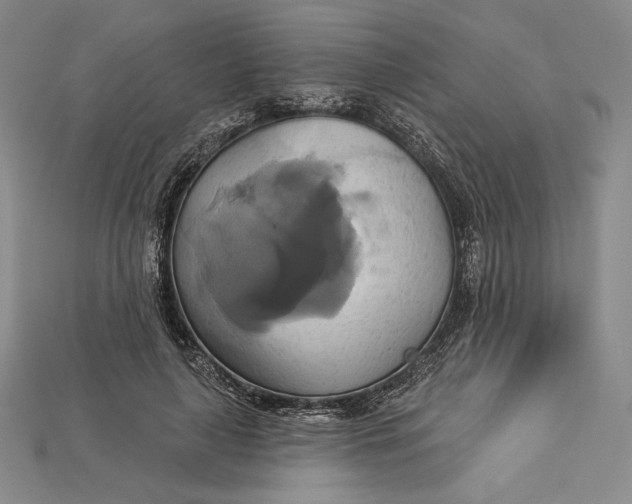 X0000115170643200911121740