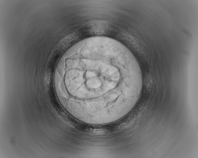 X0000115170645200911121741