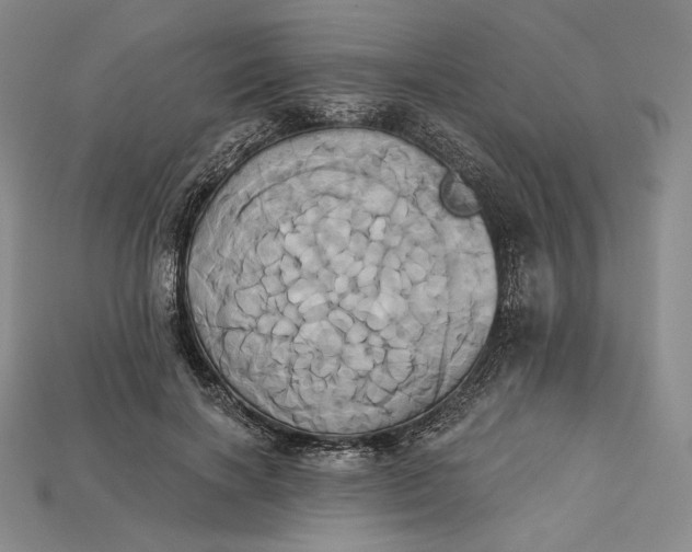 X0000115170646200911121741