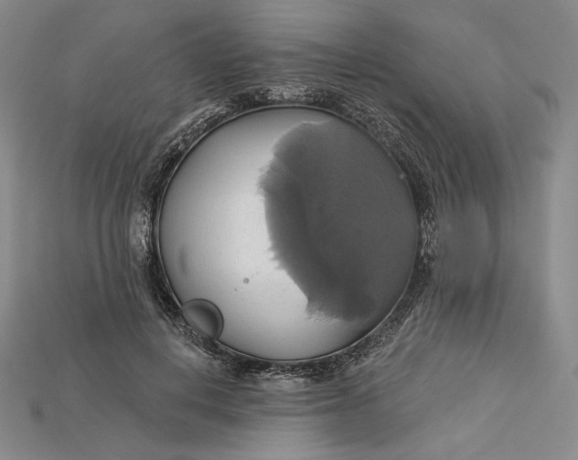 X0000115170648200911121741
