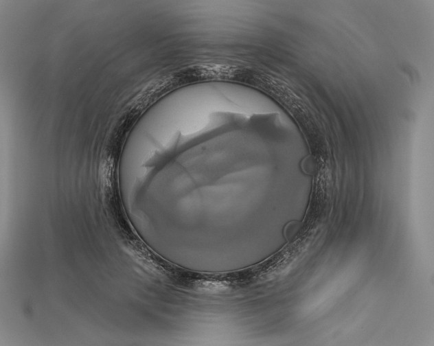 X0000115170649200911121741