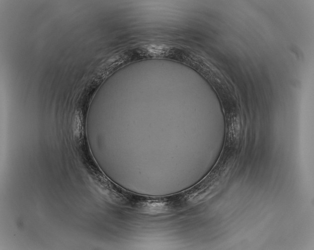 X0000115170651200911121741