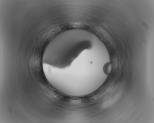 X0000115170653200911121741