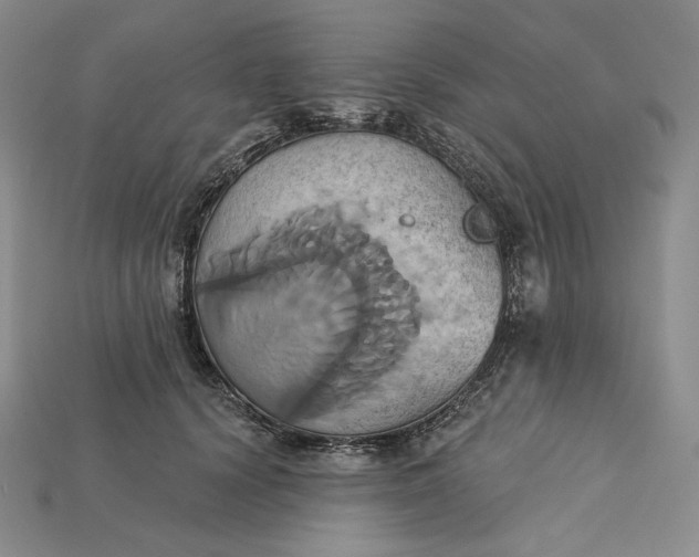 X0000115170656200911121741