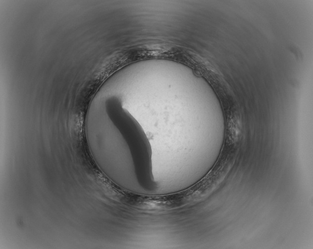 X0000115170657200911121741