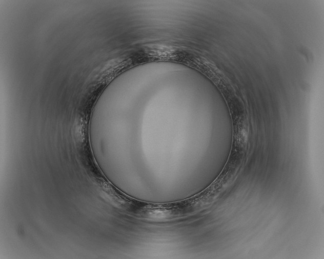 X0000115170658200911121741