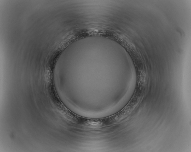 X0000115170659200911121741