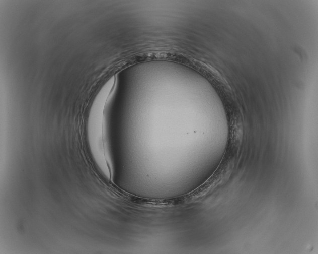 X0000115170661200911121741