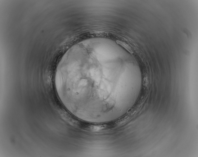 X0000115170662200911121741