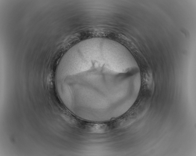 X0000115170663200911121741