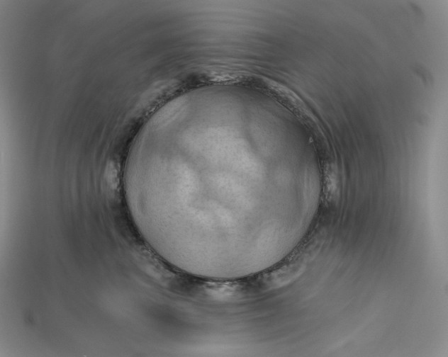 X0000115170667200911121741