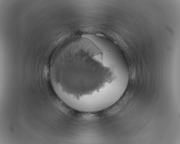 X0000115170669200911121741