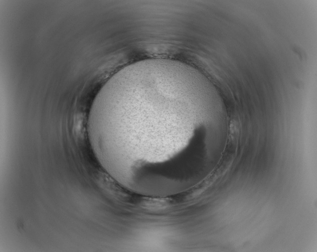 X0000115170671200911121741