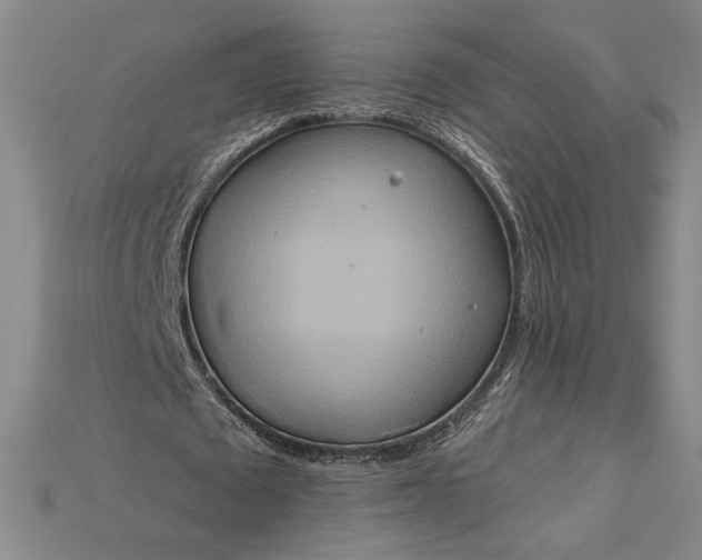 X0000115170673200911121740